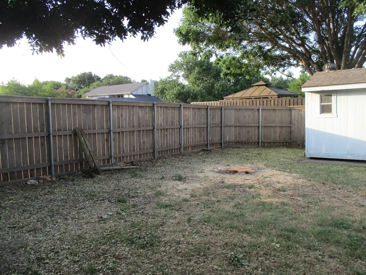 Cleared yard after professional tree removal in Montgomery Village