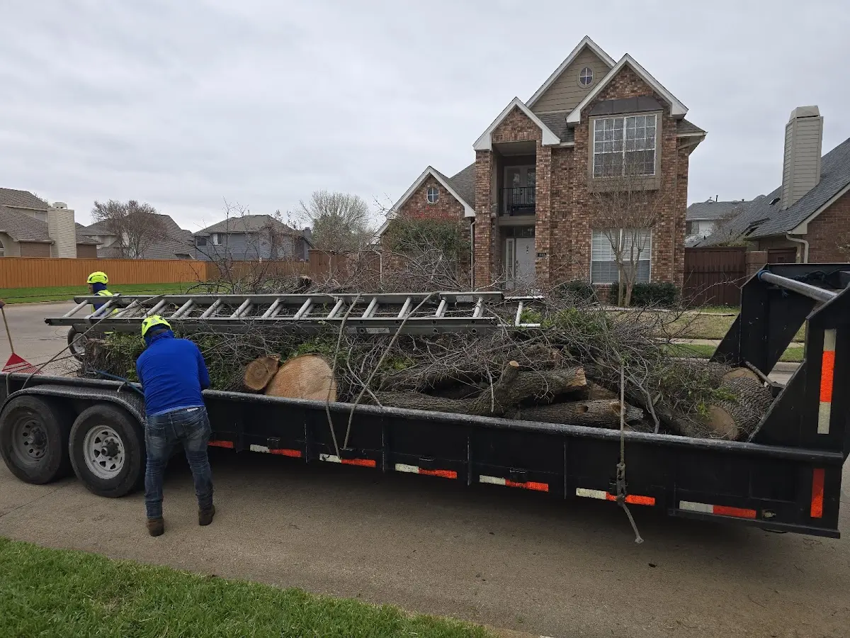 Expert Tree Pest Control with proper safety equipment in Montgomery Village